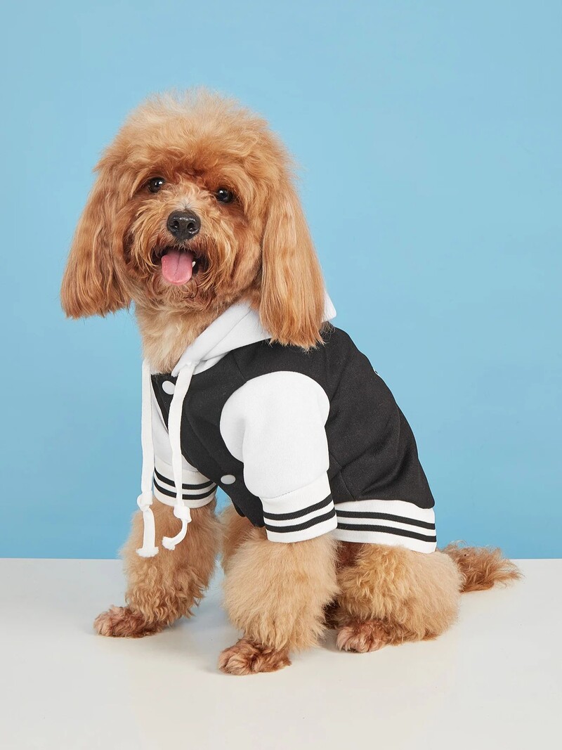 Mājdzīvnieku drēbes suņu kaķu jaka Siltas un ērtas drēbes ar apdrukām ar pogām priekšpusē ir attaisāmas