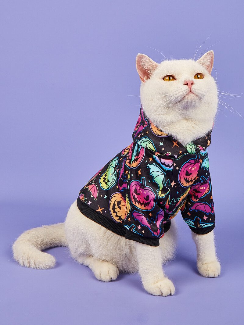 Culoare degradată Halloween Pet Streetwear imprimat Dovleac Design Liliac Hanorac pentru câine și Cămașă cu glugă pentru pisică Costum de petrecere pentru cățeluș și K