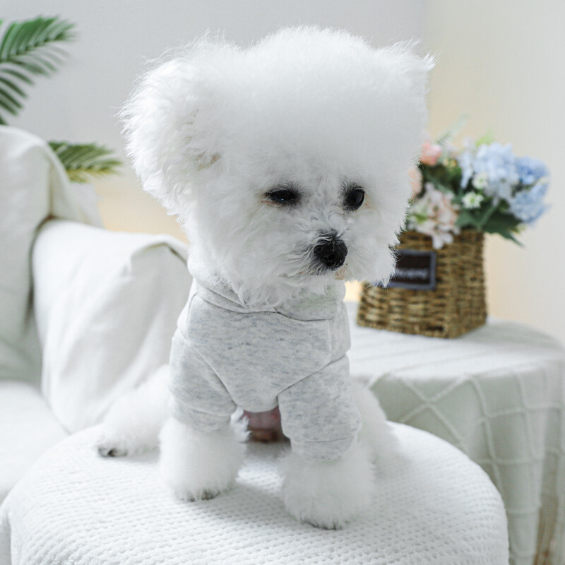 1PC îmbrăcăminte pentru animale de companie, pisică, primăvară și toamnă, cu glugă, negru Londra, gri deschis, pulover, potrivit pentru câinii mici și mijlocii