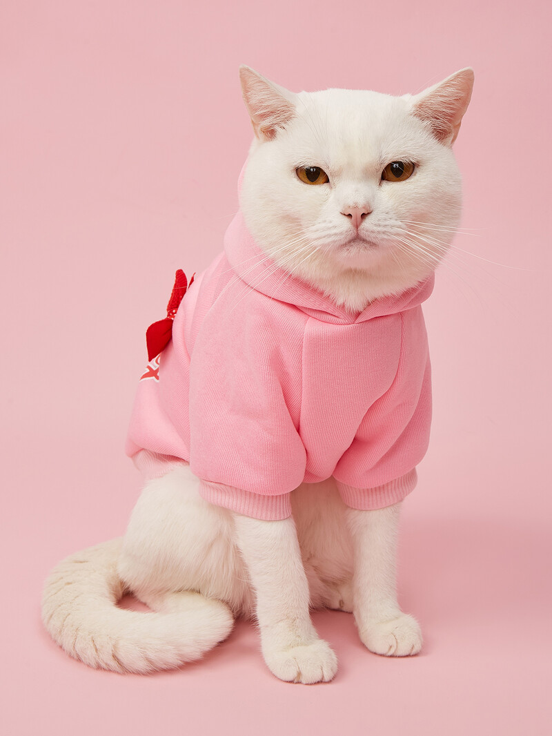 Suņu kapuces kucēns ar apdrukātiem burtiem Džemperi maziem un vidējiem suņiem kaķu mīksts un komfortabls krekli Suņu pidžamas apģērbs P