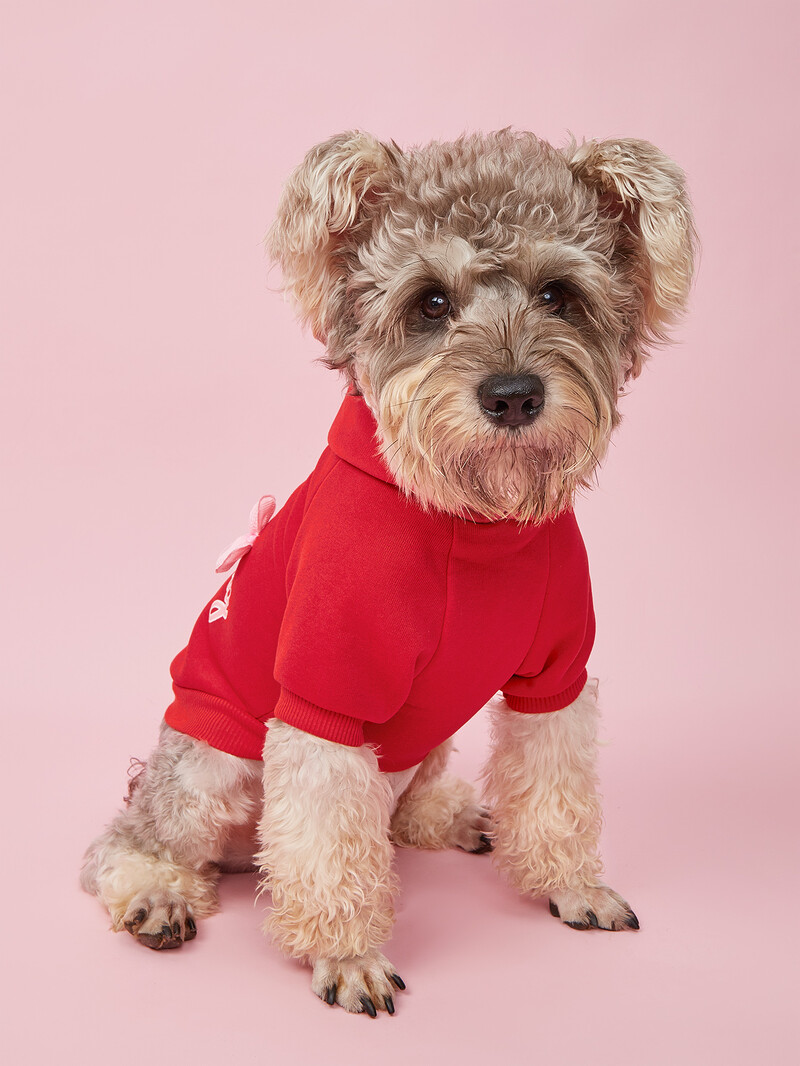 Suņu kapuces kucēns ar apdrukātiem burtiem Džemperi maziem un vidējiem suņiem kaķu mīksts un komfortabls krekli Suņu pidžamas apģērbs P