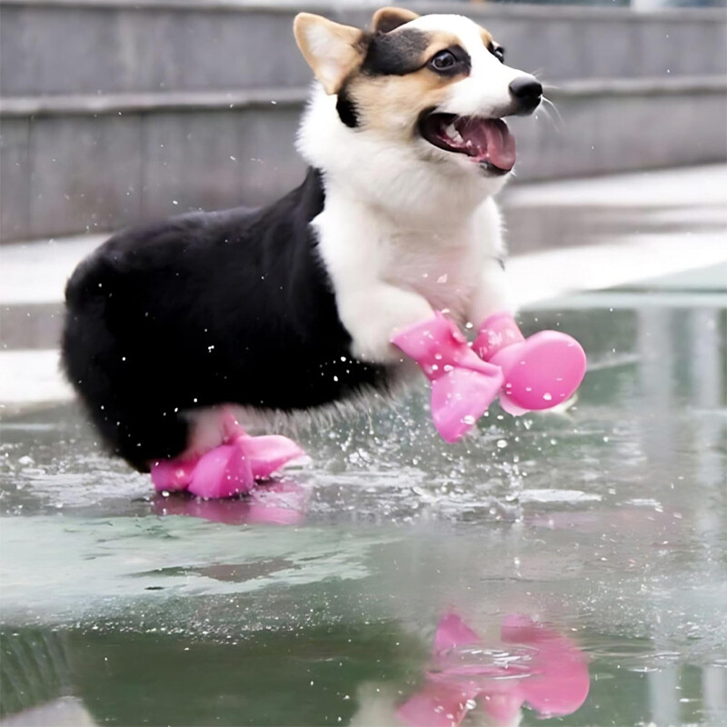 4Pcs Cipele za pse Vodootporne čizme slatkih boja Gumene Male srednje velike pse Mačke Cipele za vanjske aktivnosti Gležnjače Dodaci za kućne ljubimce