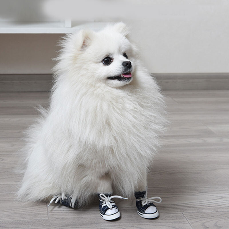 Jauni džinsa auduma apavi mājdzīvnieku suņiem, jauki, neslīdoši kaķēnu apavi kucēnu zābaki, elpojoši kedas maziem un vidējiem suņiem mājdzīvnieku piederumiem 4 gab.