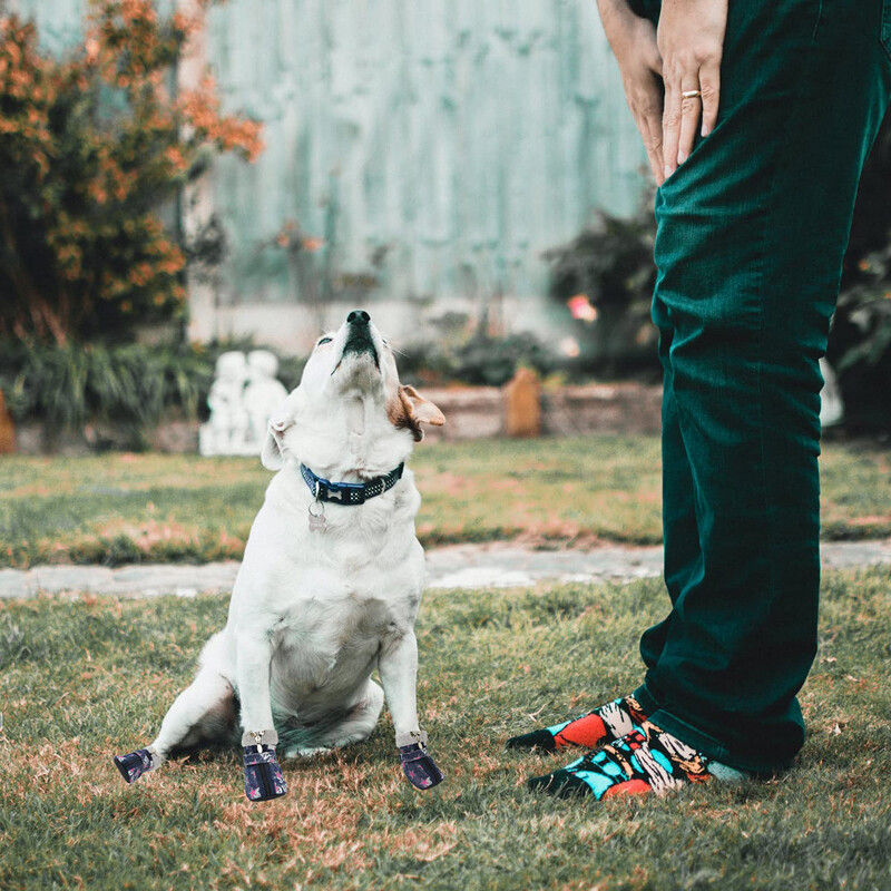 Benepaw šilti šunų batai žiemai, patogūs sniego naminių gyvūnėlių batai, tvirti, neslystantys padas šuniuko letenos apsauga, žygio batai lauke