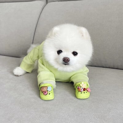 Pantofi pentru câini de companie INS, pantofi de plajă cu orificii durabili și respirabili, papuci de exterior pentru pisici, cizme decorative pentru câini, pantofi pentru câini de talie mică