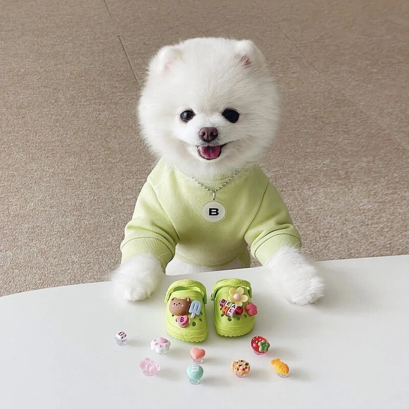 Pantofi pentru câini de companie INS, pantofi de plajă cu orificii durabili și respirabili, papuci de exterior pentru pisici, cizme decorative pentru câini, pantofi pentru câini de talie mică