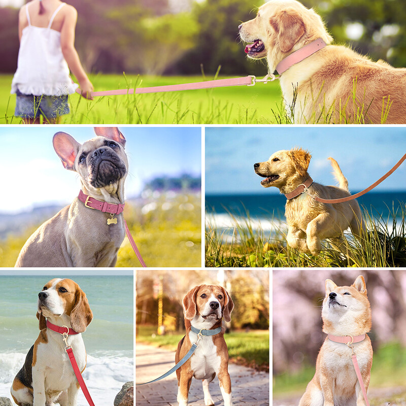 Mīkstas ādas suņu apkakles pavadas komplekts PU ādas polsterētas suņu apkakles kaklarota regulējama maziem vidēji lieliem suņiem Pitbull mopsis