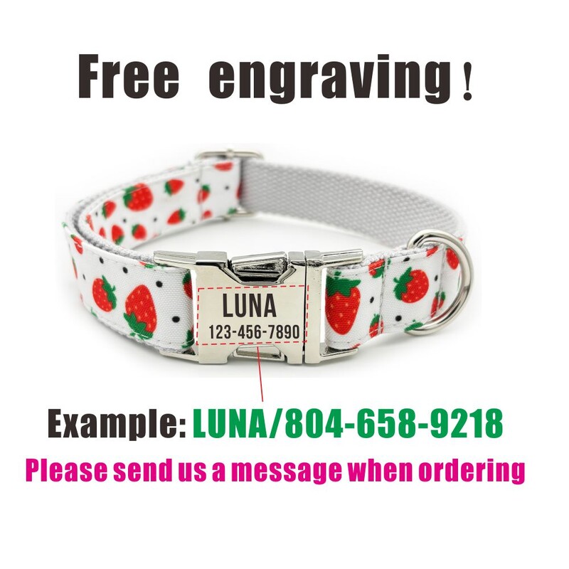 Guler personalizat pentru câini Guler personalizat pentru animale de companie, gravură gratuită, placă de identificare, etichetă pentru animale de companie, căpșuni, guler pentru cățeluș.