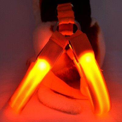 LED suņu iejūga bez vilkšanas LED gaismas nakts drošība neilona mājdzīvnieku suņu kaklasiksna Led kvēlojoša suņu gaismas iejūga skriešana