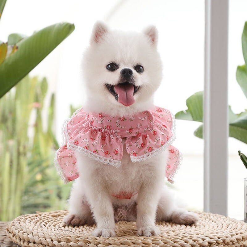 Šunų suknelės pakinktų pavadėlio rinkinys mažiems šunims katėms margumyno gėlėtai mergaitei šuo Mielas šuniukas princesės drabužiai pavasario vasarą kvėpuojantys