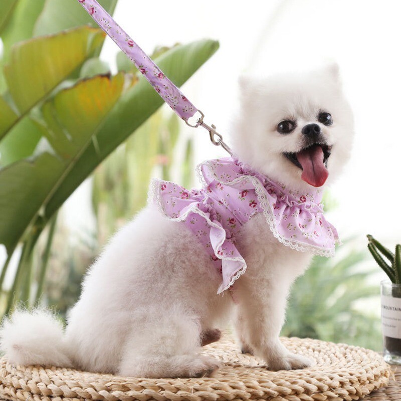 Šunų suknelės pakinktų pavadėlio rinkinys mažiems šunims katėms margumyno gėlėtai mergaitei šuo Mielas šuniukas princesės drabužiai pavasario vasarą kvėpuojantys