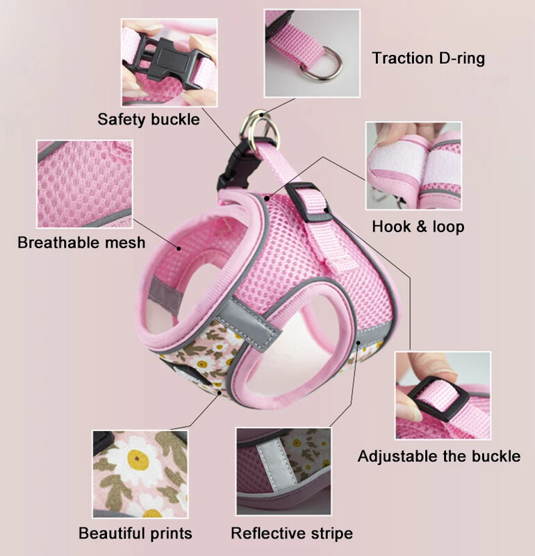 Šunų petnešos ir pavadėlio rinkinys Šviesą atspindintis naminių gyvūnėlių krūtinės dirželis mažiems šuniukų katinams Liemenių diržai Chihuahua Yorkies meškiukų vaikščiojimo reikmenys