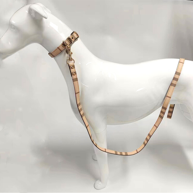 Set zgardă și lesă pentru animale de companie, din piele, la modă, zgarda reglabile pentru câini.