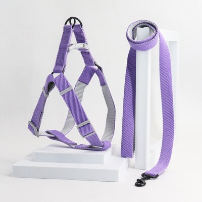 Dviejų spalvų naminių šunų pavadėlis, skirtas naudoti viduje ir lauke