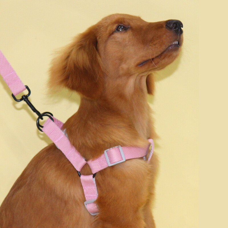 Dviejų spalvų naminių šunų pavadėlis, skirtas naudoti viduje ir lauke