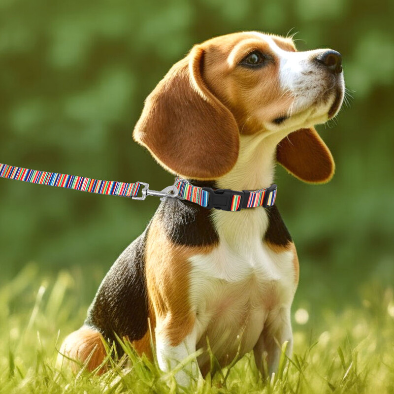 Nylonové roztomilé vodítko pre šteniatka, nastaviteľné kvetinové obojky pre mačky, vodítka na chôdzu pre malé, stredné a veľké zvieratá, XS, SM