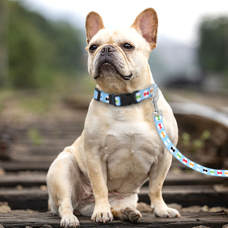 Nylonové roztomilé vodítko pre šteniatka, nastaviteľné kvetinové obojky pre mačky, vodítka na chôdzu pre malé, stredné a veľké zvieratá, XS, SM