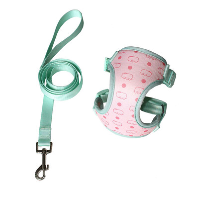 Cartoon Print naminių gyvūnėlių diržų ir pavadėlių rinkinys Reguliuojamas I formos kačių petnešos ir pavadėliai, skirti mažiems vidutinio dydžio šunims ir katėms dresuoti