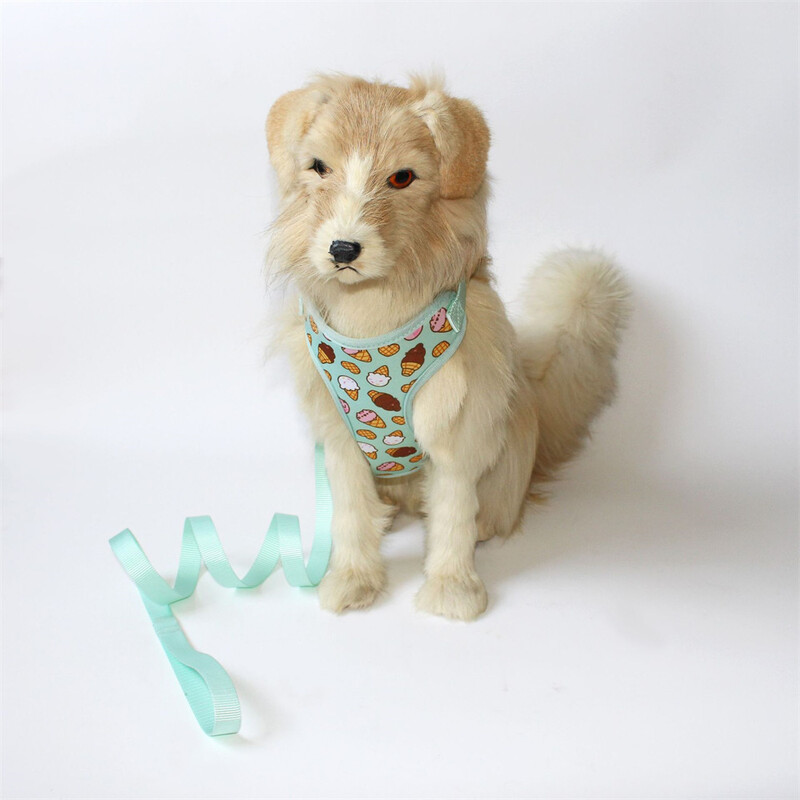 Cartoon Print naminių gyvūnėlių diržų ir pavadėlių rinkinys Reguliuojamas I formos kačių petnešos ir pavadėliai, skirti mažiems vidutinio dydžio šunims ir katėms dresuoti