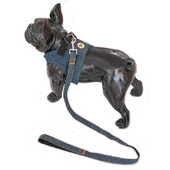 Patvarus šunų džinsinio diržo ir pavadėlio rinkinys, reguliuojamas žingsnis iš lengvų naminių džinsų liemenių diržų mažiems ir vidutiniams šunims buldogai