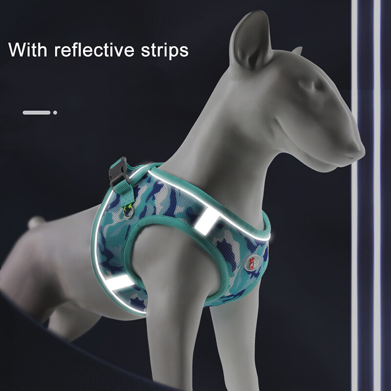 3 tk koerarakmete jalutusrihma ja kakakoti jaoturi komplekt väikestele keskmistele koertele kassidele lemmikloomade jalutamise tarvikud kutsika chihuahua rakmete vest