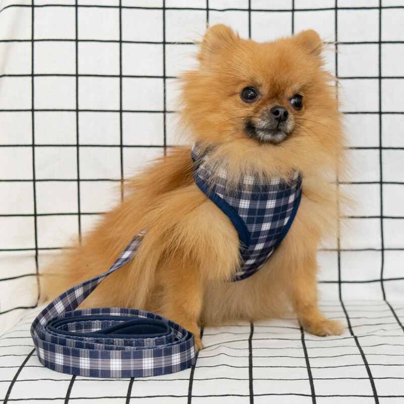 Collarlogo Guler ajustabil pentru câine de companie Durabil, moale, creativ, albastru, alb, design carouri, lesă, ham din neopren, dozator de pungi pentru caca