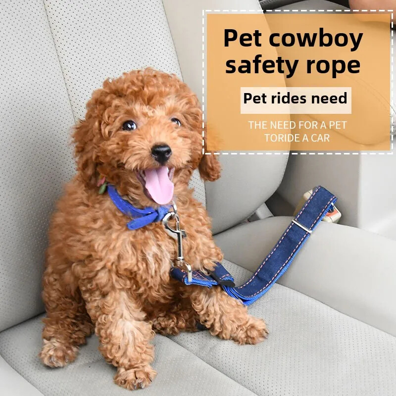 Reguleeritav lemmiklooma kassi ja koera auto turvavöö istme Sõiduki koerte rakmed Veojõuklamber Turvavarras Veojõu koerte auto turvaköis