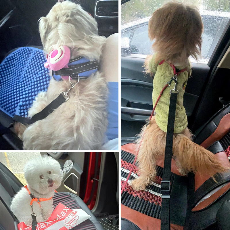 Šunų katės automobilio diržo sėdynė Vienspalvė reguliuojama šuniukų kačių švinas, saugaus traukos pavadėlis šunų pavadėliui, čihuahua mopsas, augintinių šunų priedai