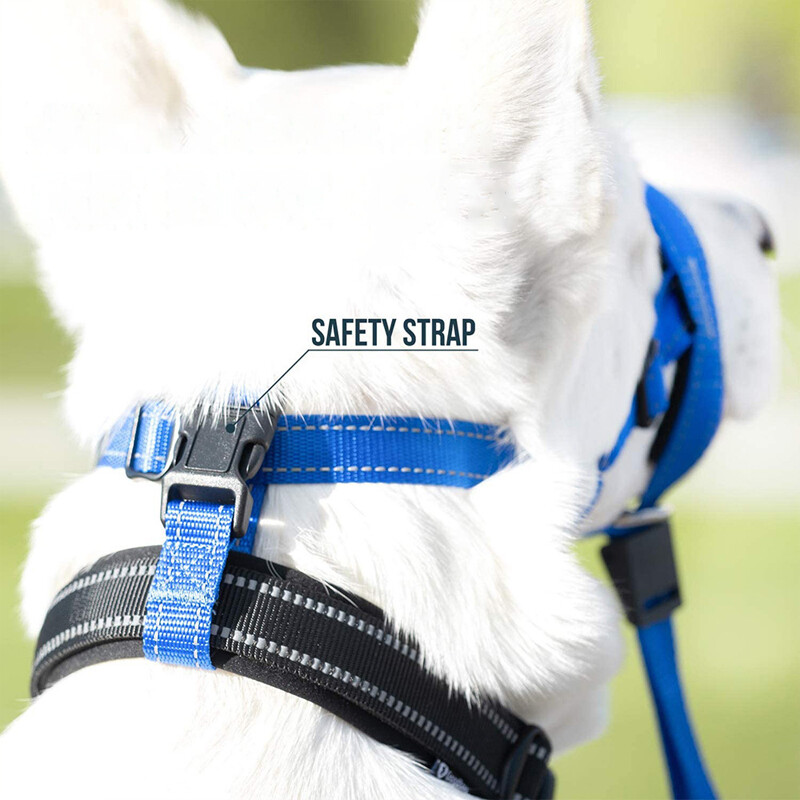 Kutyaszáj szájkosarak Ugatásgátló Nyakörv Kutyakiképző szerszám Nylon készlet állítható harapásgátló gyorskioldó kutyaszájvédővel