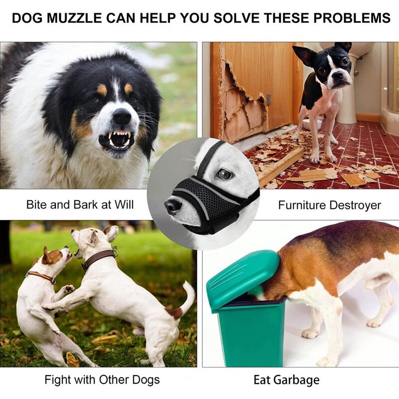 Ātri nolaižams suņa purns Pretkošļājamais suņa purns Elpojošs, regulējams suņa purns Ērts Pretkošļājamais Pretkožšanu maziem