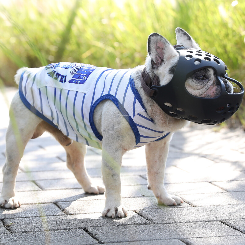 Suņu purns buldogiem, elpojoši caurumi Purns neļauj košļāt suņiem Piederumi, viegli valkājami