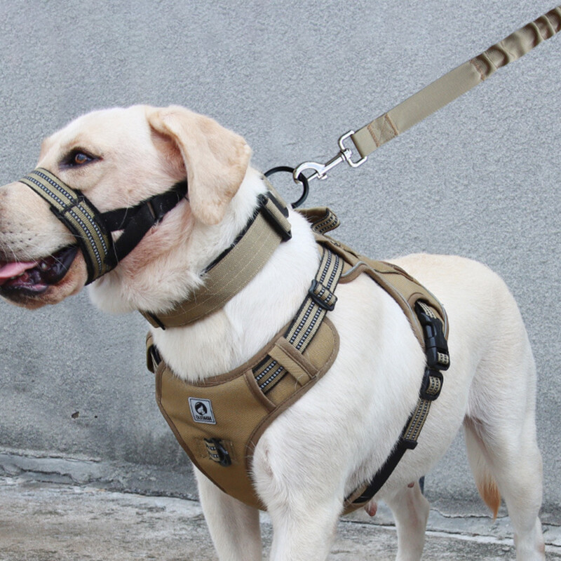 Balnelio šunų diržai Šviesą atspindintys, reguliuojami naminių gyvūnėlių diržai be traukimo vaikščiojimo treniruokliai mažiems vidutiniams dideliems šunims krūtinės diržo gaminys