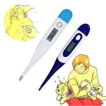 1 PC Professional LED Pet Dog Electronic Thermometer Safe Wet Dry Thermometer Veterinary Thermometer Pet Medical Equipment