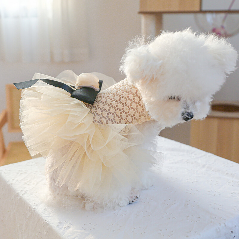 1PC îmbrăcăminte pentru animale de companie câine de vară Hollow Coco Miss Cat Bow rochie de prințesă rochie de mireasă potrivită pentru câini de talie mică și mijlocie