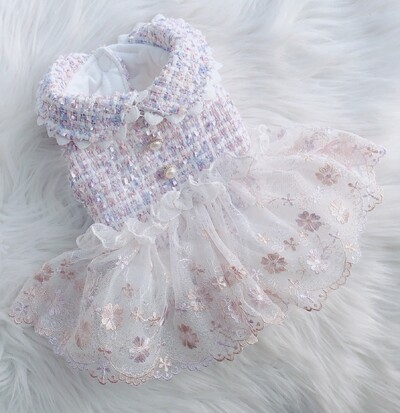 Princezná, šaty pre psov, mačacie šaty s kockovaným a čipkovaným dizajnom, dievčatko, domáce zviera, šteniatko, sukňa, teplé oblečenie