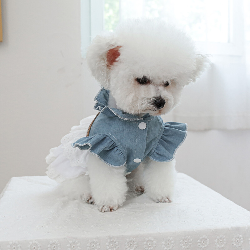 1vnt naminių gyvūnėlių drabužių pavasario ir rudens torto sijonas Teksaso kaubojų sijonas, tinkamas mažiems ir vidutinio dydžio šunims