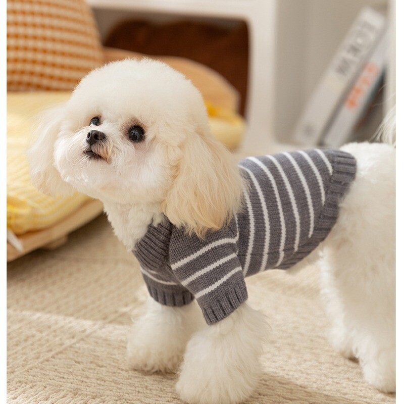 Toamnă și iarnă Câine Versiune coreeană Pulover cu nasturi cu dungi simplu Pisică Teddy Pulover tricot cald Îmbrăcăminte pentru animale de companie Îmbrăcare zilnică