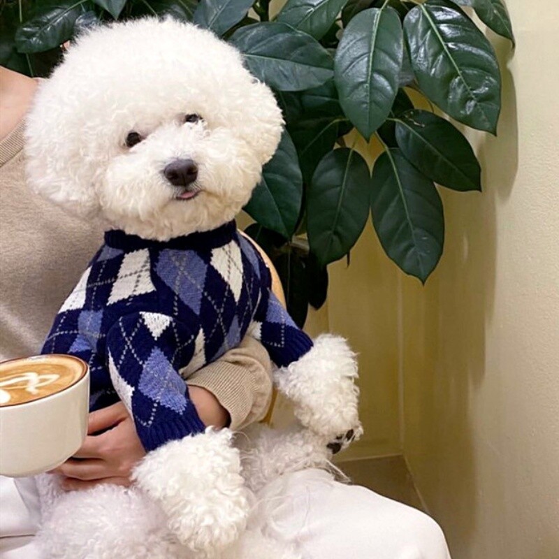 Mados naminių šunų megztas megztinis žiemai, šilti šunų drabužiai Mieli languoti šuniukų megztiniai Minkšti kačių megztiniai Prancūzų buldogai naminių gyvūnėlių reikmenys