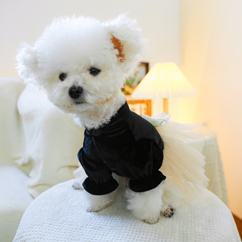 1 vnt. naminių gyvūnėlių drabužiai kačių pavasario ir rudens juodo aksomo lanko princesės suknelės traukimo sagtis, tinka mažiems ir vidutinio dydžio šunims