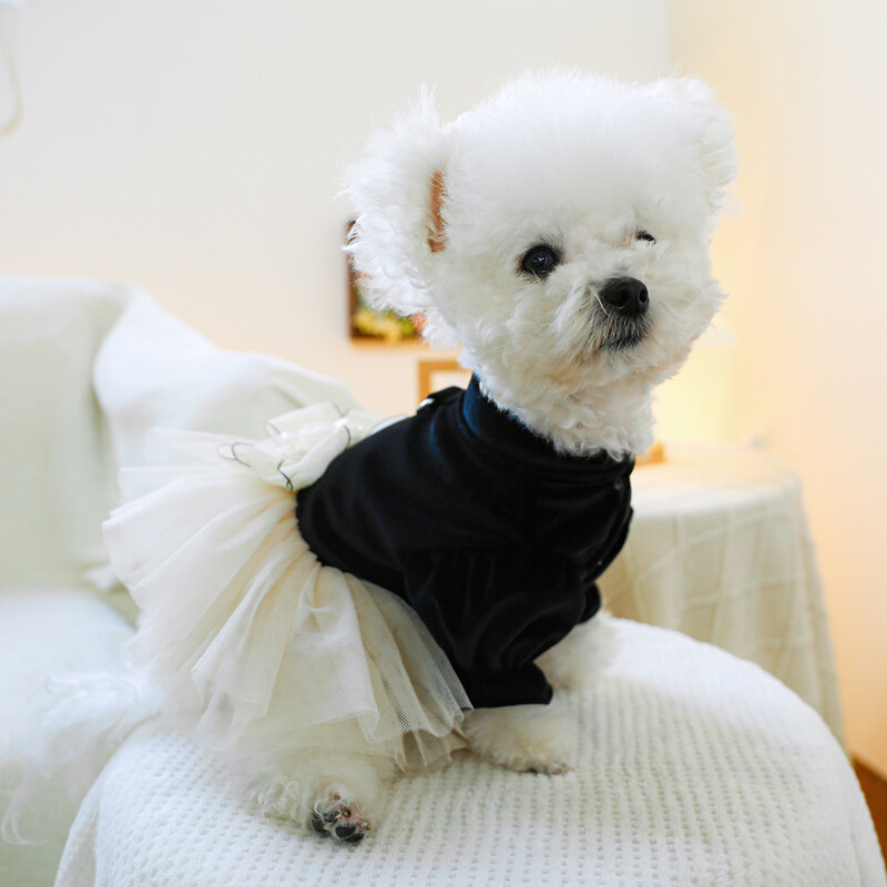 1 vnt. naminių gyvūnėlių drabužiai kačių pavasario ir rudens juodo aksomo lanko princesės suknelės traukimo sagtis, tinka mažiems ir vidutinio dydžio šunims