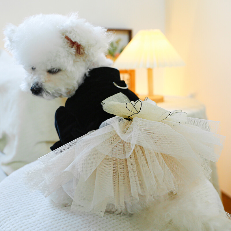 1 vnt. naminių gyvūnėlių drabužiai kačių pavasario ir rudens juodo aksomo lanko princesės suknelės traukimo sagtis, tinka mažiems ir vidutinio dydžio šunims