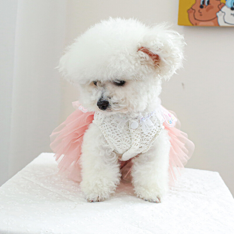 1PC îmbrăcăminte pentru animale de companie de primăvară și toamnă roz fluture zână rochie de mireasă rochie de prințesă potrivită pentru câini de talie mică și mijlocie