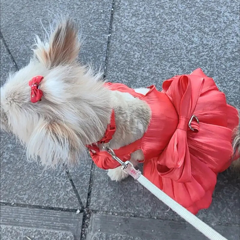 Rochii de culoare solidă pentru câini de pisică cu inel în D pentru câini de talie mică Chihuahua Pomeranian Puppy Haine de vară pentru animale de companie robes para perritas