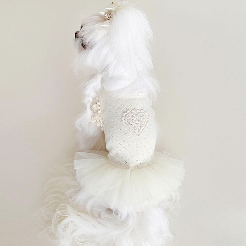 Kisállathálós alapruha, légáteresztő hálós pihe-puha csipke ujjú bézs géz szoknya Kutyaruhák kiskutyáknak kölyökruhák