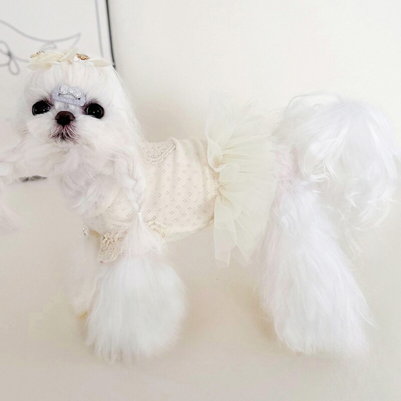 Kisállathálós alapruha, légáteresztő hálós pihe-puha csipke ujjú bézs géz szoknya Kutyaruhák kiskutyáknak kölyökruhák