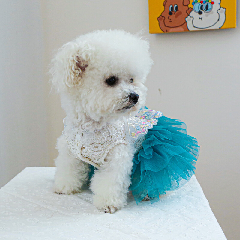 1 vnt. naminių gyvūnėlių drabužiai pavasario ir rudens mėlyna drugelio fėja vestuvinė suknelė princesė, tinka mažiems ir vidutinio dydžio šunims