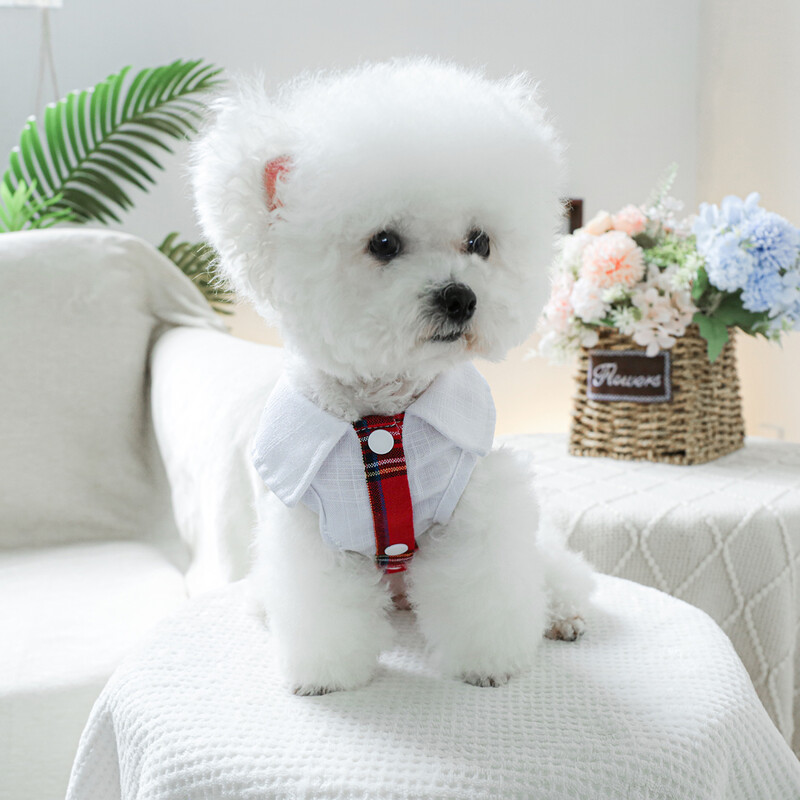 1PC îmbrăcăminte pentru animale de companie câine de primăvară și toamnă roșu insignă colegiu nobil fusta prințesă potrivită pentru câini de talie mică și mijlocie