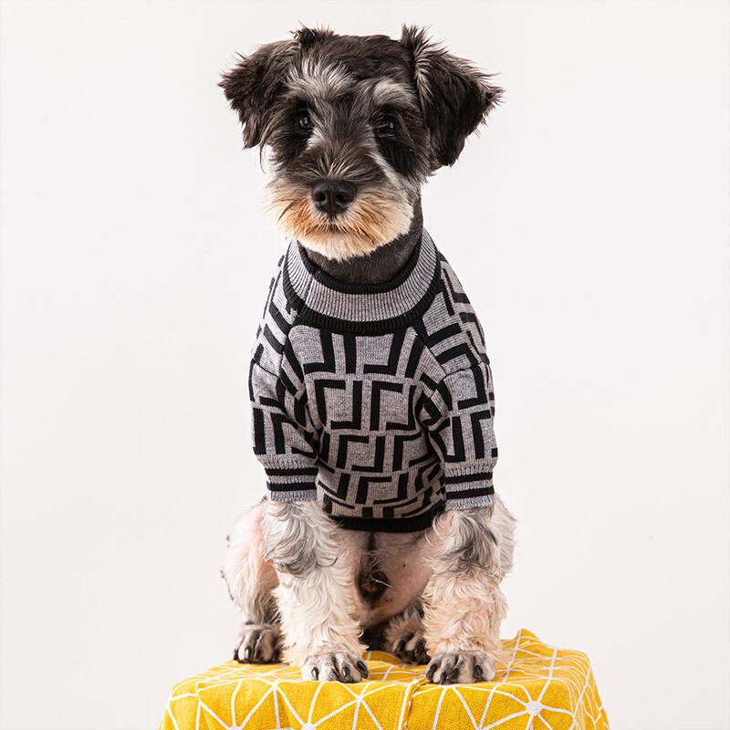 Toamnă și iarnă Pulover cald pentru câini Schnauzer Brand de modă Haine casual pentru animale de companie Manta confortabilă de lux pentru câini mici și mijlocii