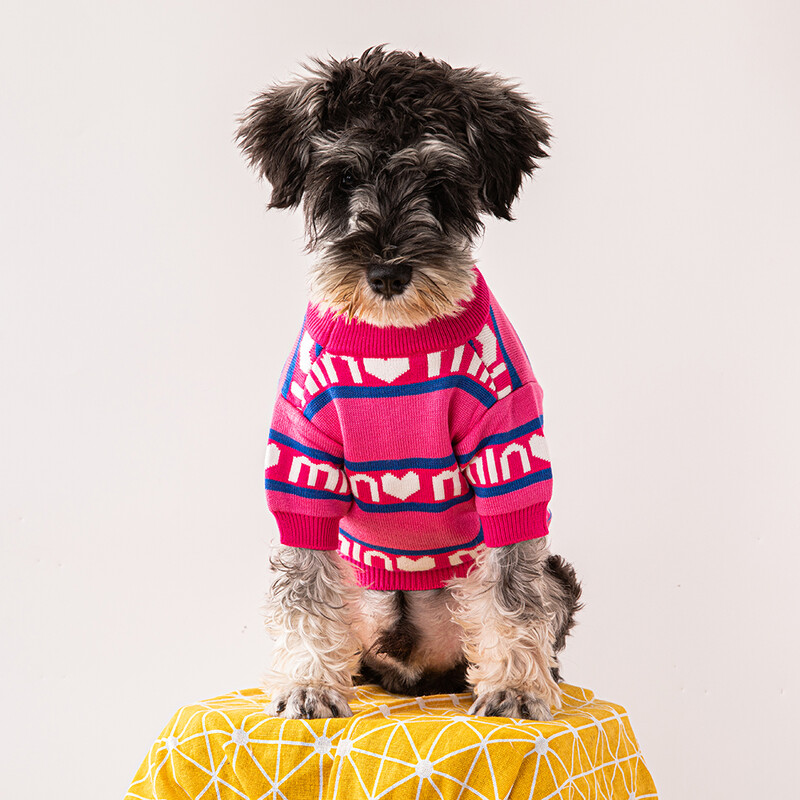 Cel mai bine vândut pulover pentru animale de companie, marca de toamnă și iarnă, Haine pentru câini Pomeranian Chihuahua Articole pentru câini de talie mică și mijlocie