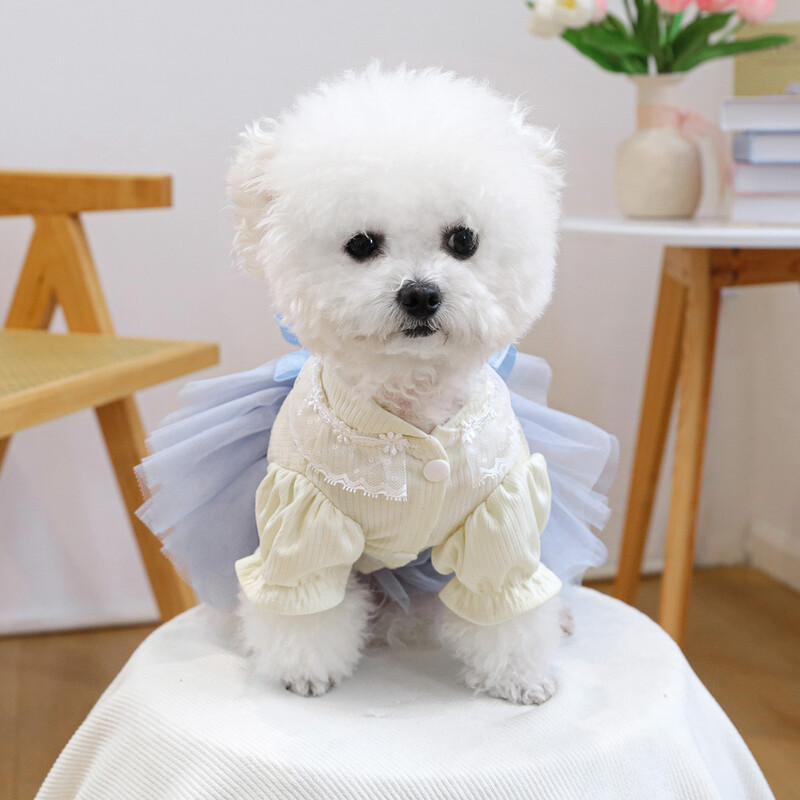 1PC îmbrăcăminte pentru animale de companie, primăvară și toamnă, rochie de prințesă de zăpadă, rochie de mireasă, potrivită pentru câini de talie mică și mijlocie